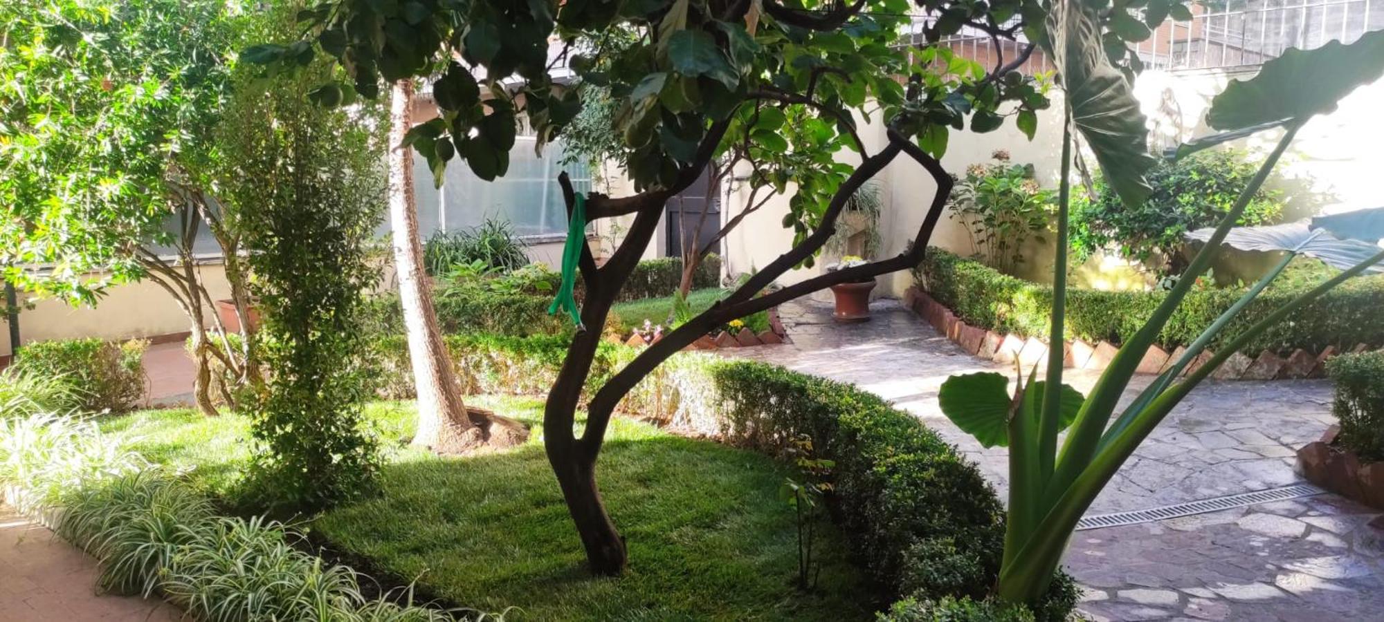 רומא Villa Angeli מראה חיצוני תמונה